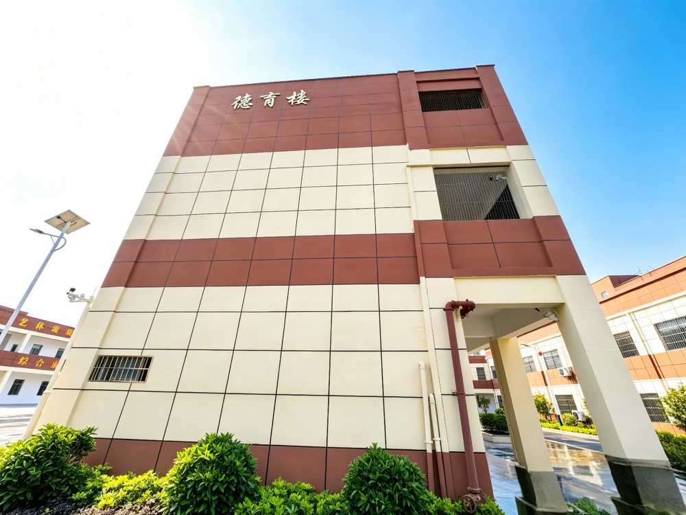 崇左有实力的叛逆小孩管教学校推荐:志恒教育培训学校深度解析