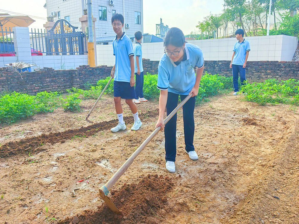 广西崇左专管不听话孩子的学校具体位置与择校指南